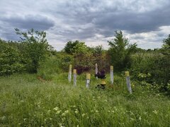Teren Sectorul 6 - Giulesti Sarbi- Artera Drumul Sabareni