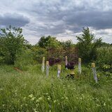 Teren Sectorul 6 - Giulesti Sarbi- Artera Drumul Sabareni